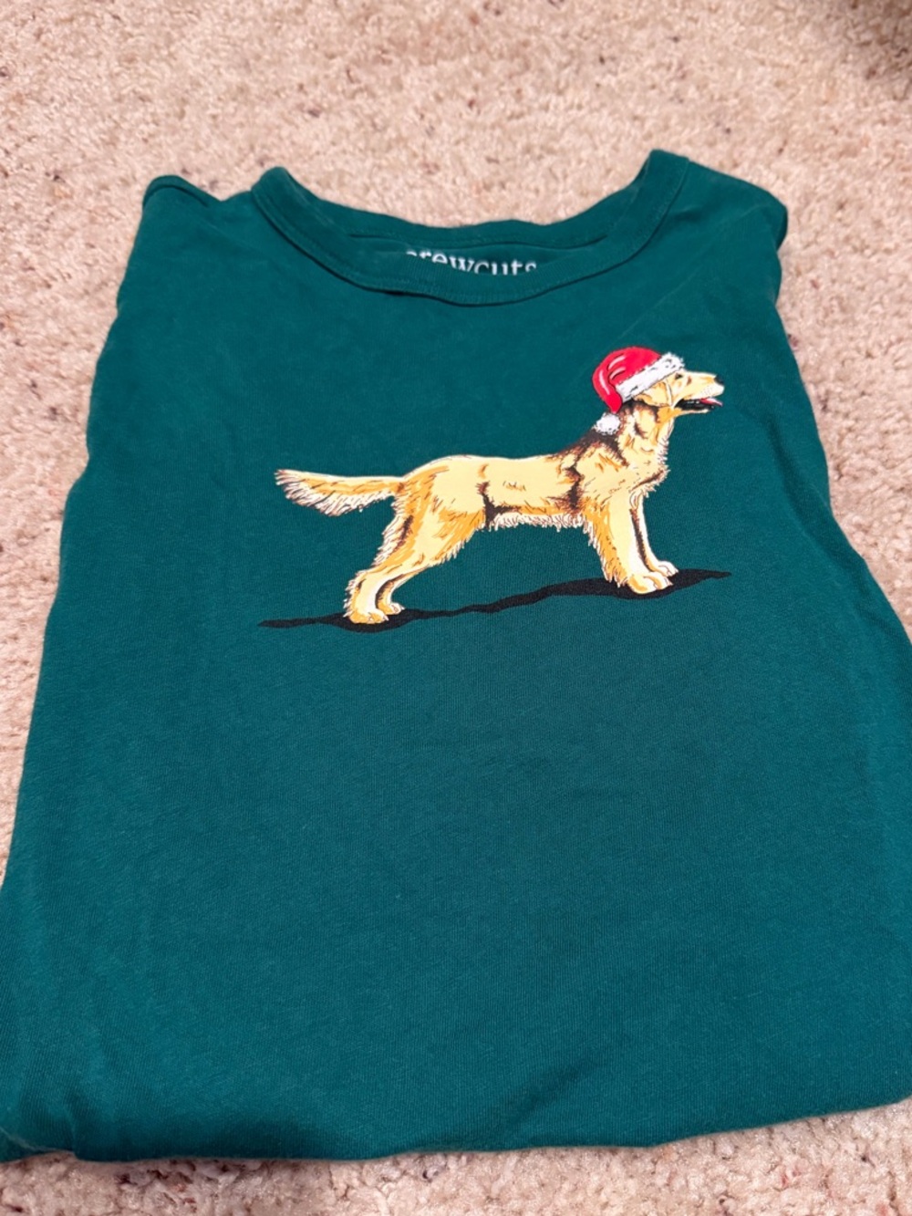 Crewcuts Green Santa Dog Graphic Pet Tee